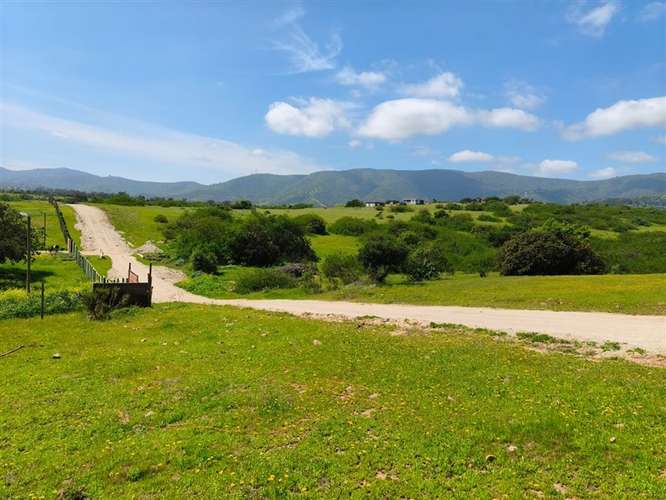 Sitio en venta en Puchuncaví - Imagen 8