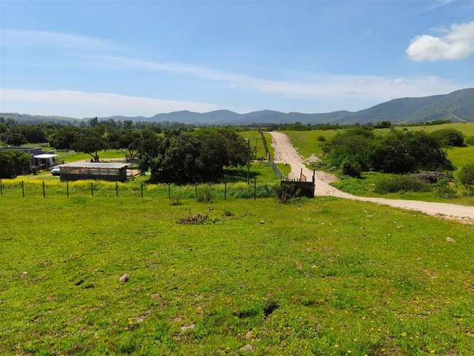 Sitio en venta en Puchuncaví - Imagen 9