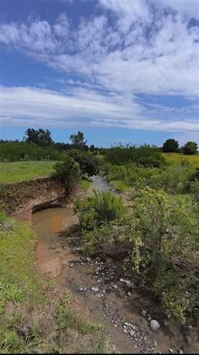 Sitio en venta en Puchuncaví - Imagen 17