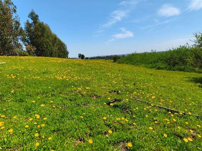 Terreno en venta en Puchuncaví - Imagen 10