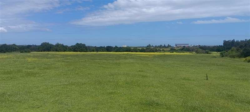 Terreno en venta en Puchuncaví - Imagen 3