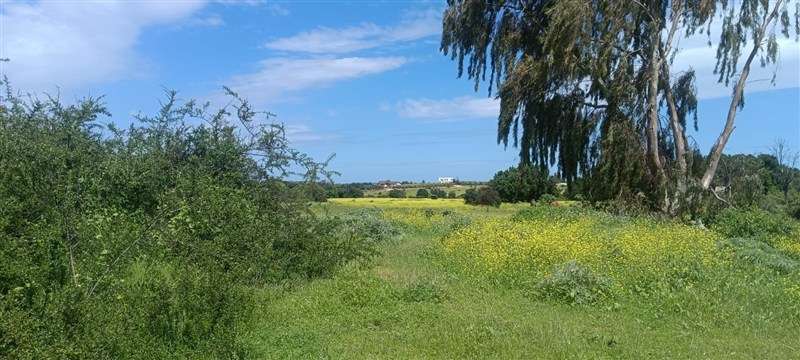 Terreno en venta en Puchuncaví - Imagen 2