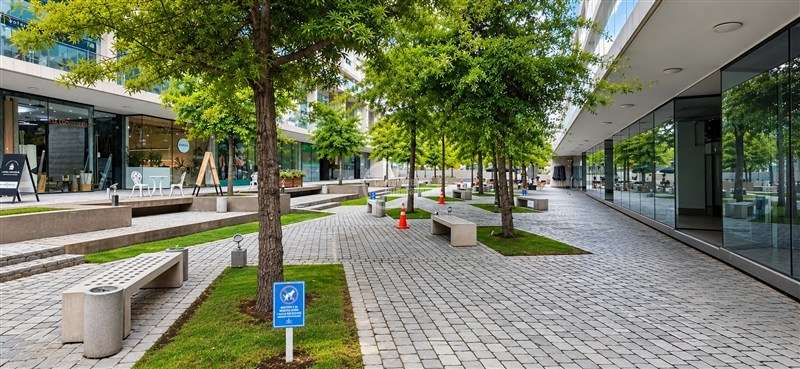Local Comercial en arriendo 64M2 2B La Dehesa - Imagen 21