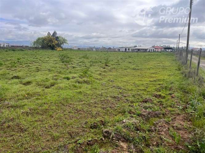 3 Parcelas en venta en Pelarco 5000mts2 - Imagen 5