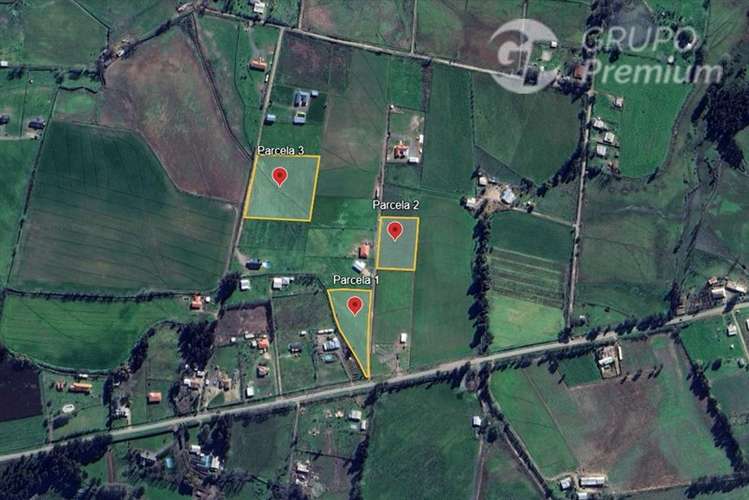 3 Parcelas en venta en Pelarco 5000mts2