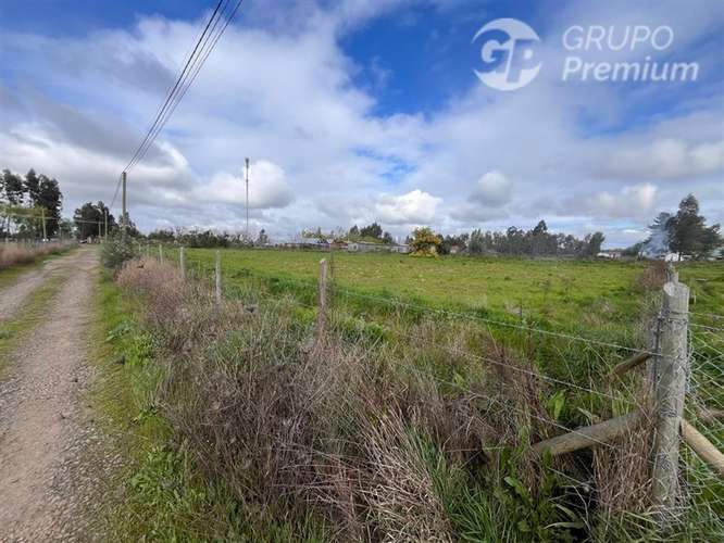 3 Parcelas en venta en Pelarco 5000mts2 - Imagen 2