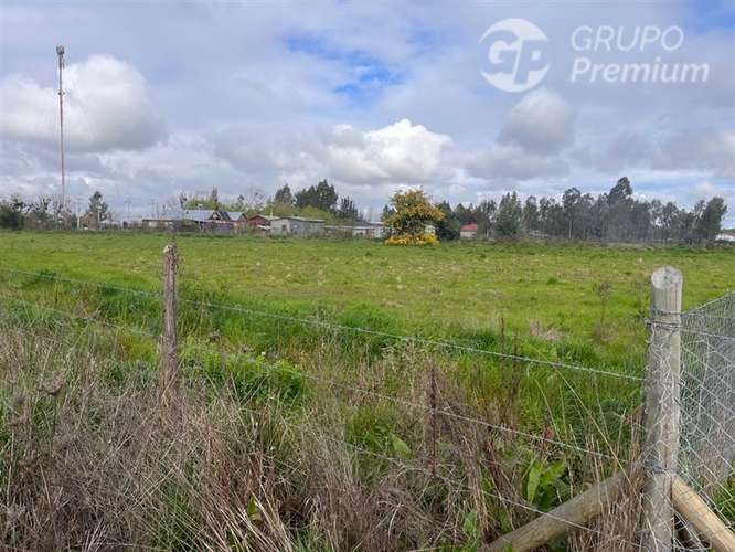 3 Parcelas en venta en Pelarco 5000mts2 - Imagen 3