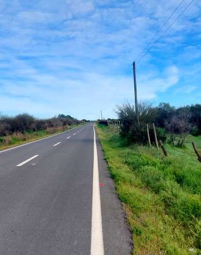 OFERTA Parcelas planas a orilla de carretera, a 2:30 horas de Santiago