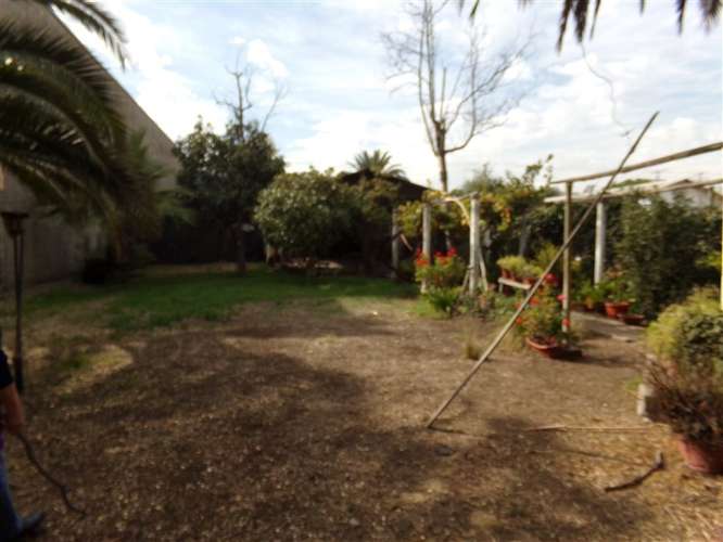 Sitio con casa en venta en centro Talagante - Imagen 8