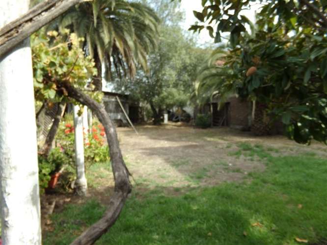 Sitio con casa en venta en centro Talagante - Imagen 7