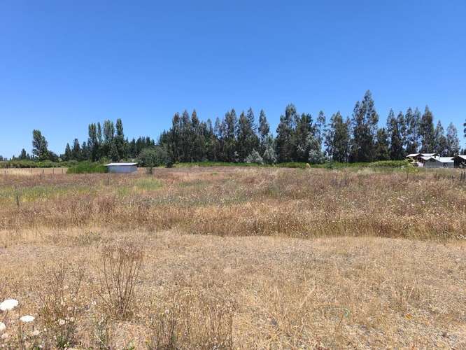 YUNGAY, VARIANTE SAN IGNACIO CAMIN CHILLÁN, TERRENO 20000 M2