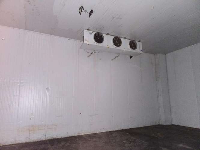 YUNGAY, VARIANTE SAN IGNACIO CAMIN CHILLÁN, TERRENO 20000 M2