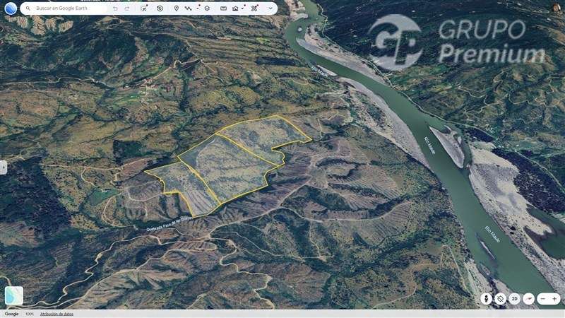 Sitio en venta, km 37 camino a Constitución, Pichamán - Imagen 9