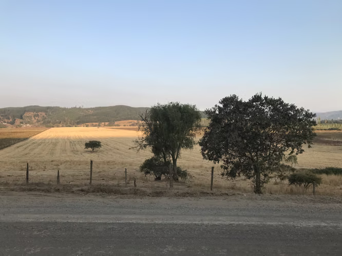 VENTA DE CAMPO