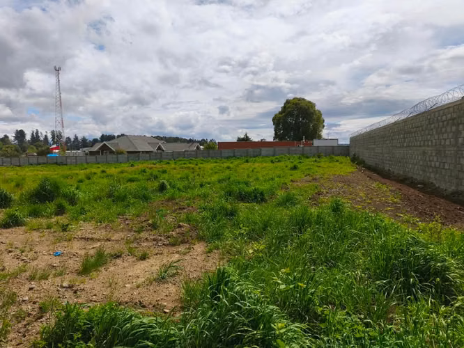 Venta Terreno de 5.000 m² para Uso Industrial y Comercial / Ruta U-400, Osorno