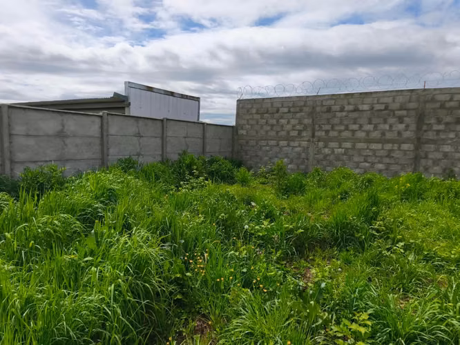 Venta Terreno de 5.000 m² para Uso Industrial y Comercial / Ruta U-400, Osorno