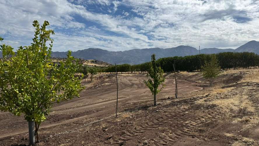 VENTA PARCELA HACIENDA DE CHACABUCO COLINA - Imagen 9