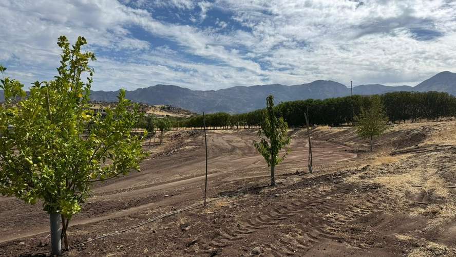 VENTA PARCELA HACIENDA DE CHACABUCO COLINA