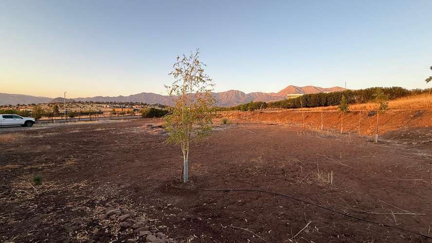 VENTA PARCELA HACIENDA DE CHACABUCO COLINA - Imagen 12
