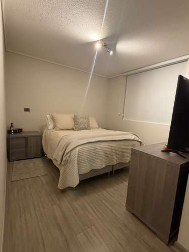 ARRIENDO DEPARTAMENTO  DE 2D EN  OLIMPIA, GRAN TERRAZA - Imagen 11