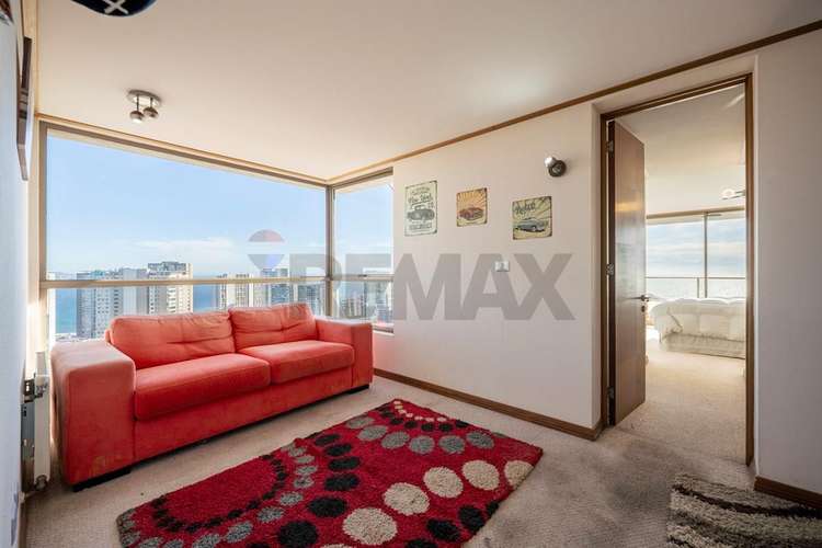 Bosques de montemar, un lugar para disfrutar - Imagen 17