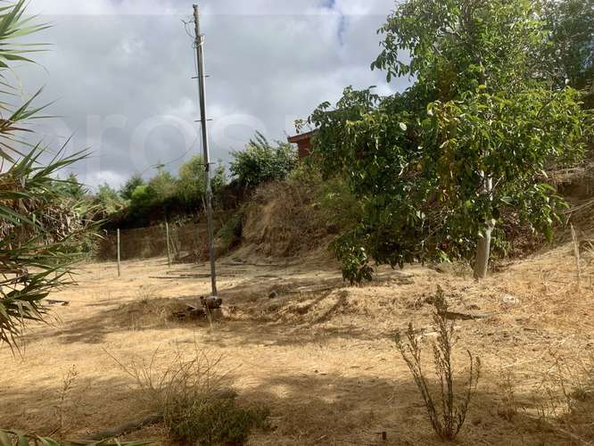 VENTA SITIO EN ZONA URBANA, OLMUÉ