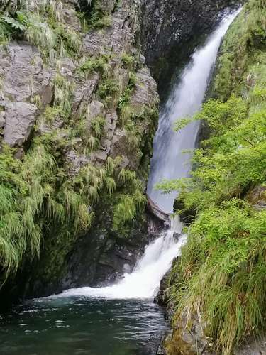 VENTA PARCELA PARA CREAR PROYECTO TURISTICO SUSTENTABLE
