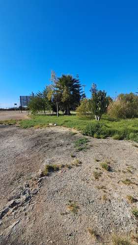 TERRENO COMERCIAL CON GRAN CONECTIVIDAD  KM 839 RUTA 5 N - Imagen 21