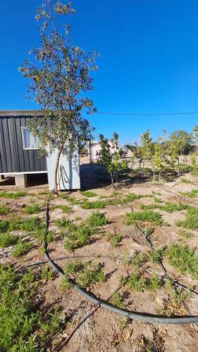 TERRENO COMERCIAL CON GRAN CONECTIVIDAD  KM 839 RUTA 5 N - Imagen 14