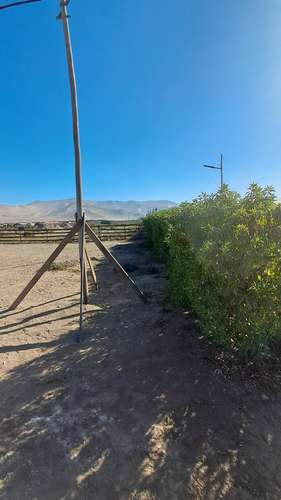 TERRENO COMERCIAL CON GRAN CONECTIVIDAD  KM 839 RUTA 5 N - Imagen 12