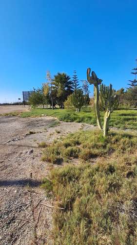 TERRENO COMERCIAL CON GRAN CONECTIVIDAD  KM 839 RUTA 5 N - Imagen 23