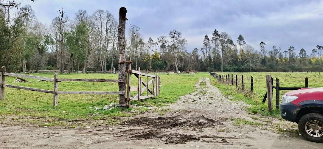 PARCELA DE 5000 M2 EN FOLILCO LOS LAGOS - Imagen 13
