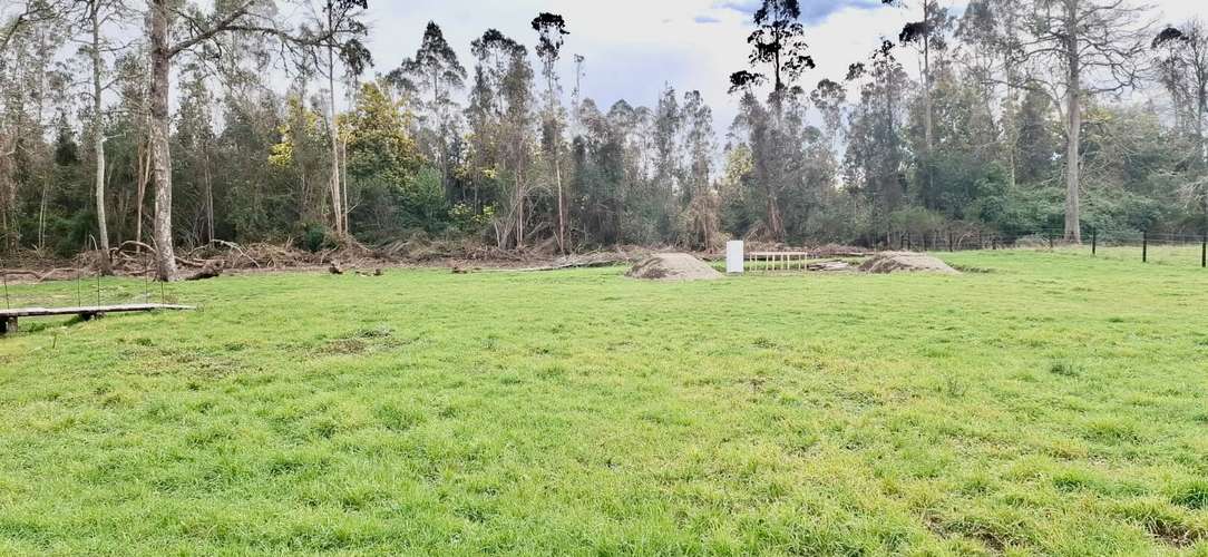 PARCELA DE 5000 M2 EN FOLILCO LOS LAGOS - Imagen 9
