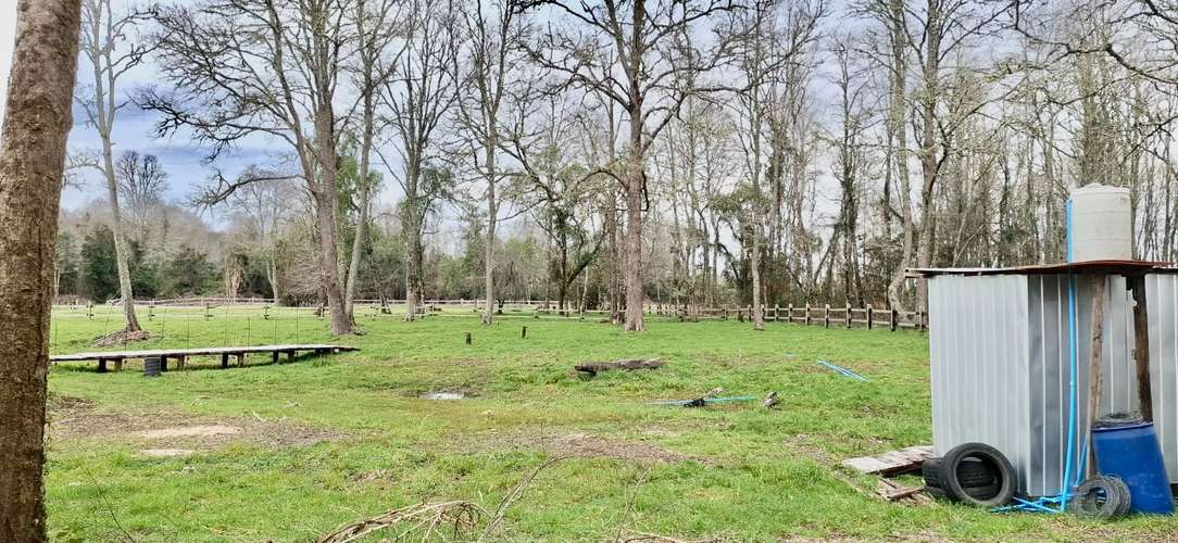 PARCELA DE 5000 M2 EN FOLILCO LOS LAGOS - Imagen 17