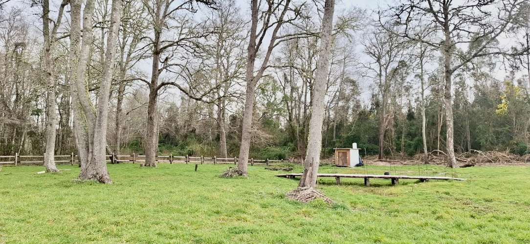 PARCELA DE 5000 M2 EN FOLILCO LOS LAGOS - Imagen 16
