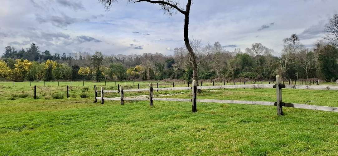 PARCELA DE 5000 M2 EN FOLILCO LOS LAGOS - Imagen 5