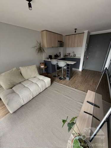 Departamento en Venta 1D1B en Santiago (187423)