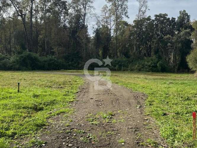Oferta Hermosa vegetación nativa en Santuario de Frutillar,