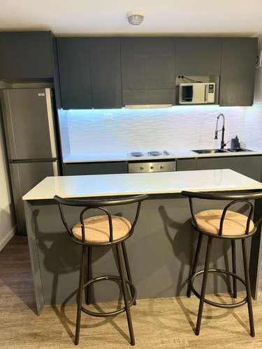 Arriendo Departamento Amoblado (Salida Norte)