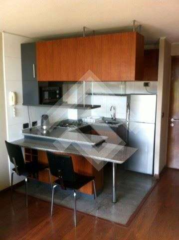 Departamento en arriendo en Providencia - Imagen 3