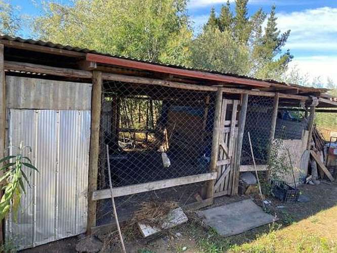 PARCELA  11000M2 CON CASA,  YUMBEL - Imagen 3