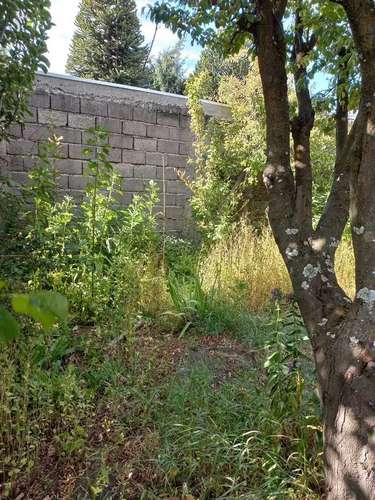 Casa 8D en terreno ideal inversion, Coyhaique (187389) - Imagen 14