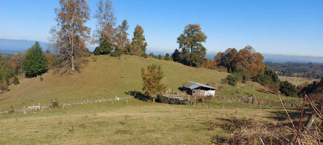 Lindo campo Cercano a Bahia coique, vista Panorámica lago Ranco