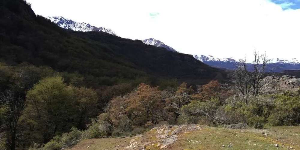 Terreno junto al rio Ibanez, Patagonia (187354)