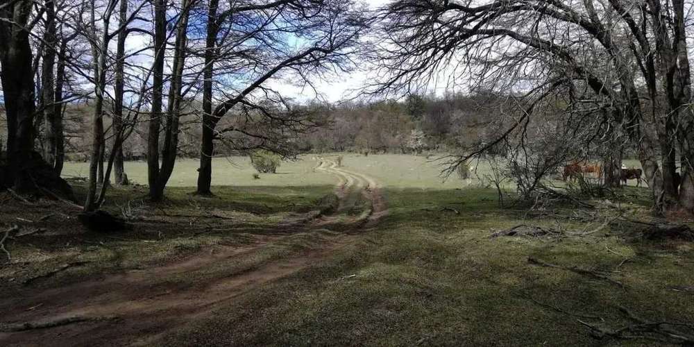 Terreno junto al rio Ibanez, Patagonia (187354)