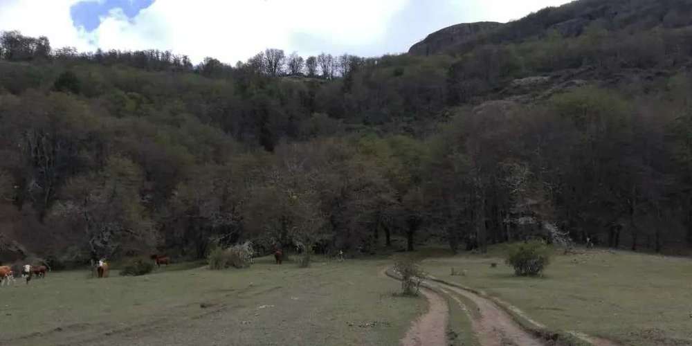 Terreno junto al rio Ibanez, Patagonia (187354)