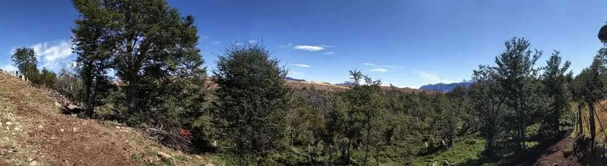 Campo con agua APR y vegetacion nativa (187231)