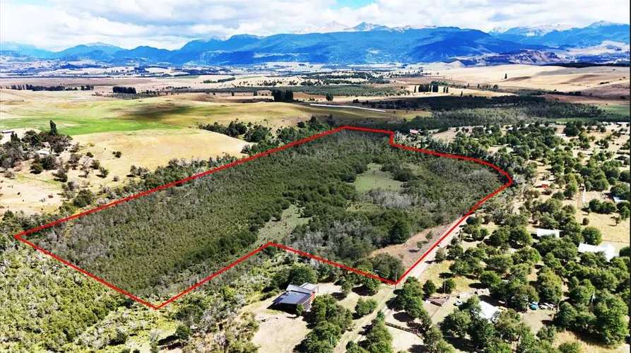 Campo con agua APR y vegetacion nativa (187231)
