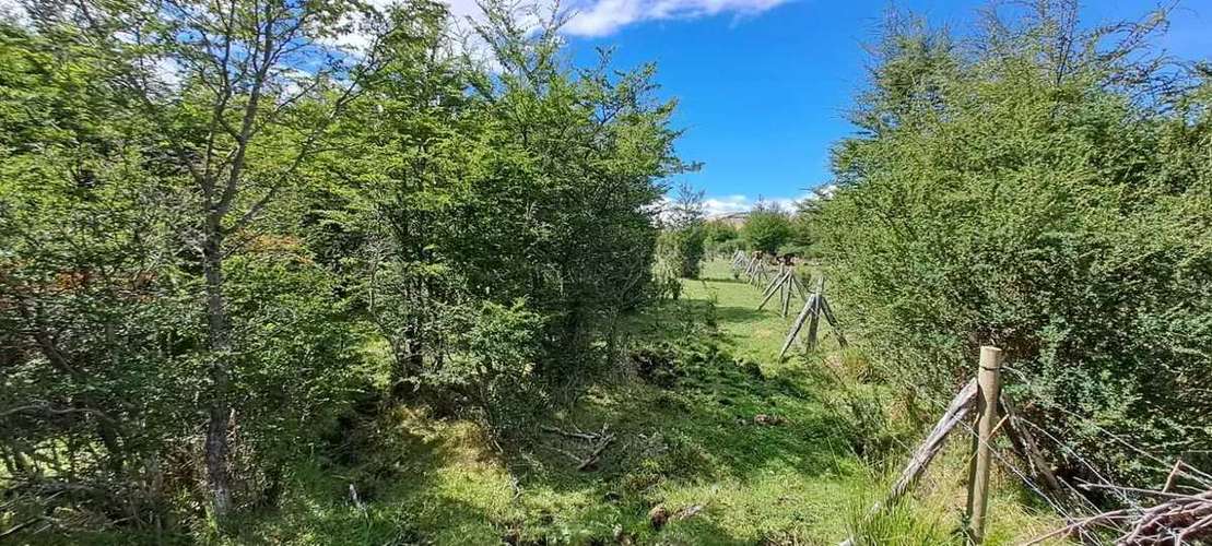 Campo con agua APR y vegetacion nativa (187231)