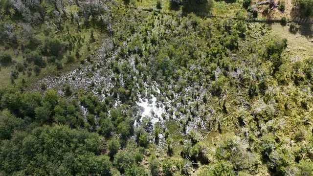 Campo con agua APR y vegetacion nativa (187231)